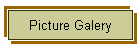 Picture Galery